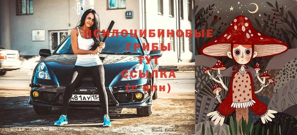прущий лед Аркадак