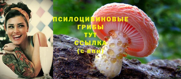 прущий лед Аркадак