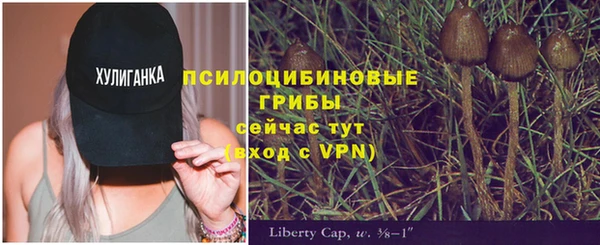 экстази Арсеньев