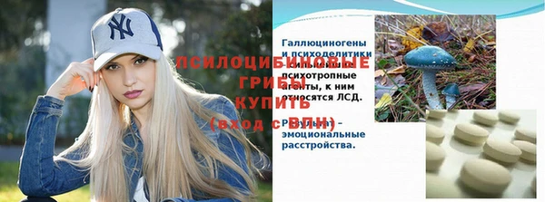 молекула духа Армянск